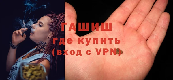 индика Алзамай