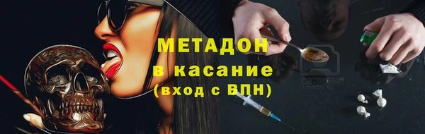 индика Алзамай