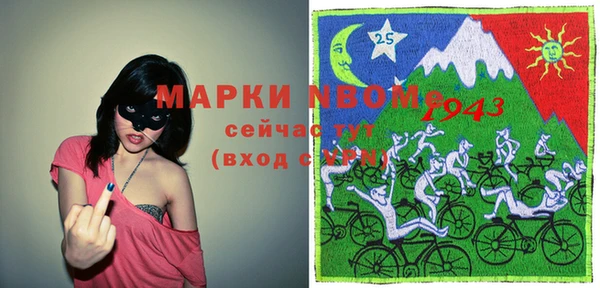 индика Алзамай