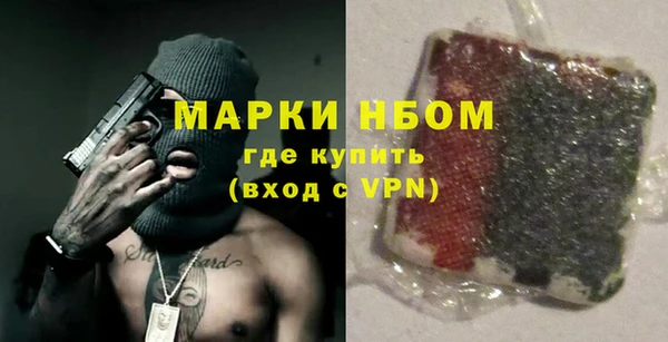 индика Алзамай